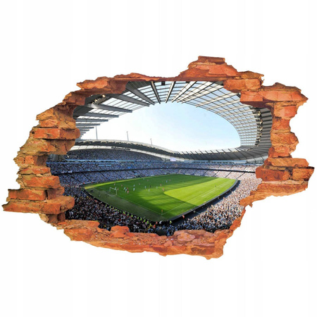 Naklejki na ścianę dziura 3D Manchester City